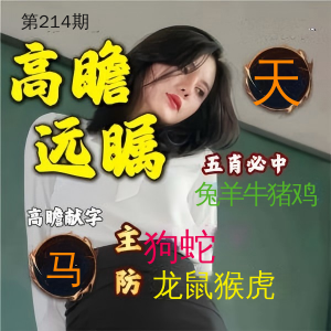高瞻远瞩
