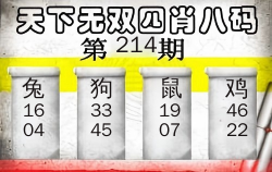 天下无双四肖八码